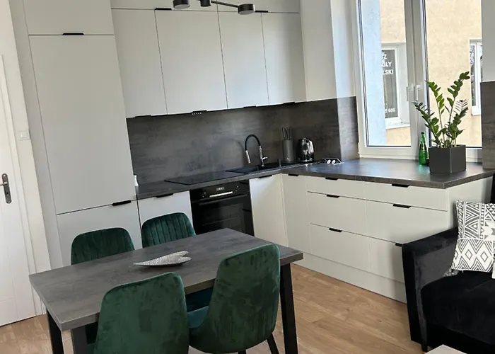 Nowoczesny Apartament W Centrum Torunia